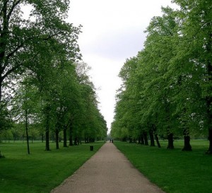 peter pan in kensington gardens