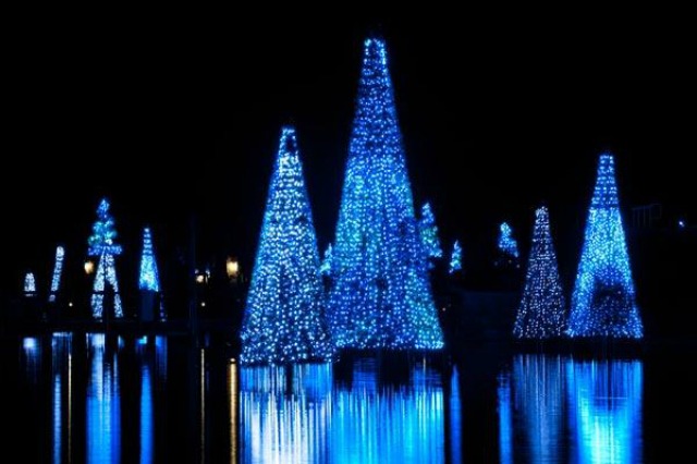 Just one of the many light displays in Sea World Orlando. I love these changing lights reflecting off the water... photo by Orlando Sentinal