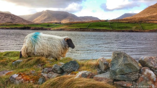 Driving through Connemara is like driving into "Neverland".