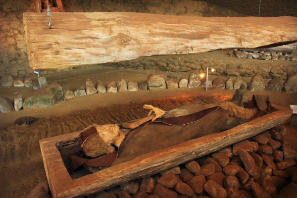 The dead were buried inside a tree trunk within the burial mounds.