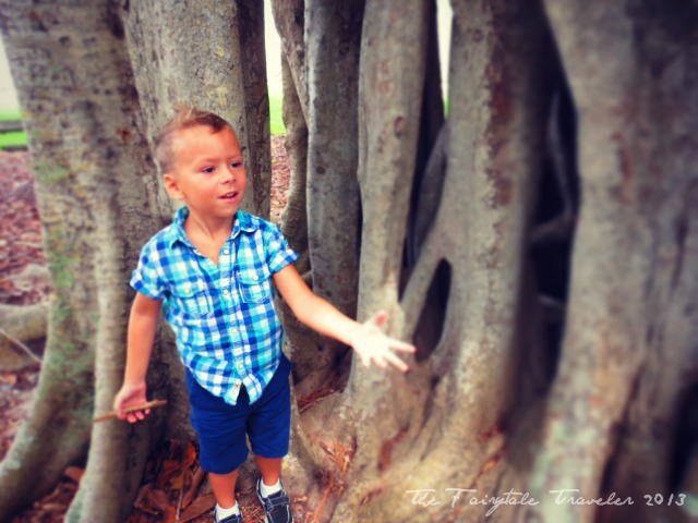 The Little and the Banyan Tree 3
