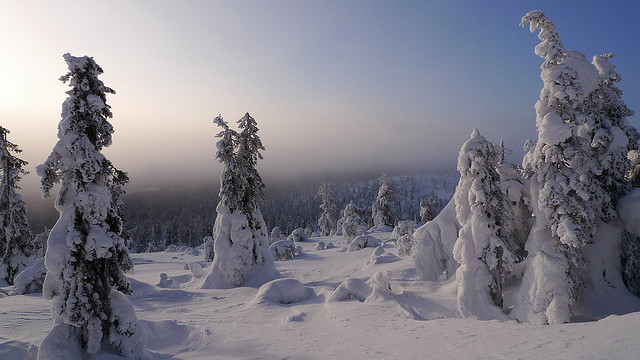 Holiday in Lapland