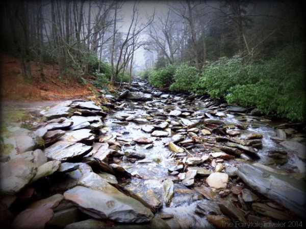 This is one of the many brooks and streams that run through the Great Smoky Mountains National Park.