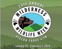 wilderness-wildlife-week-1