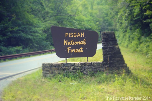 Welcome sign as you're entering the Pisgah National Forest. Photo by Christa Thompson