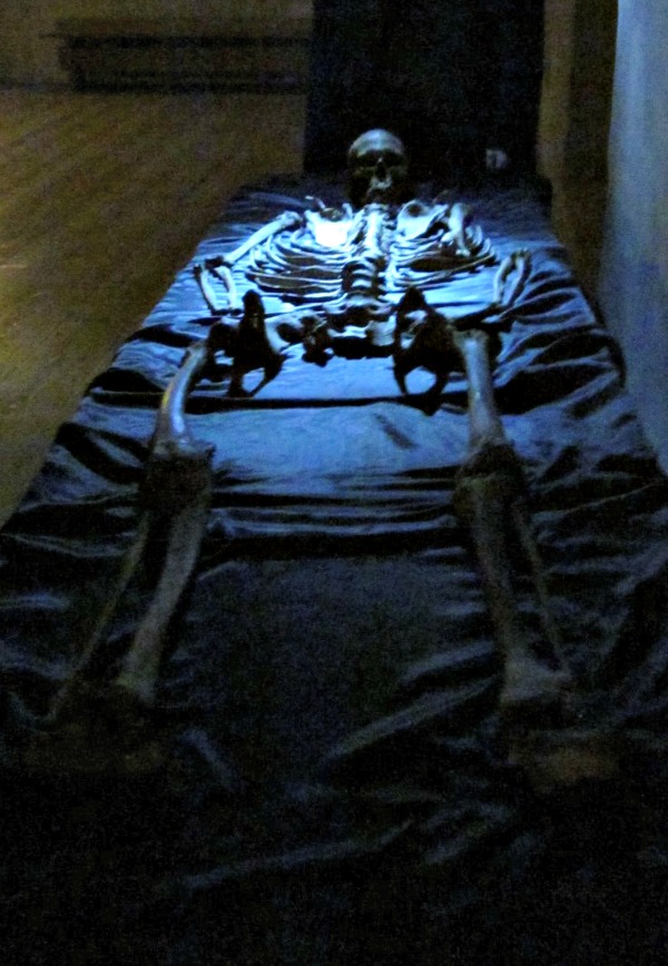 Turku Castle skeleton