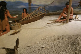Native Culture in the USA, South Florida museum, bradenton, native america in bradenton