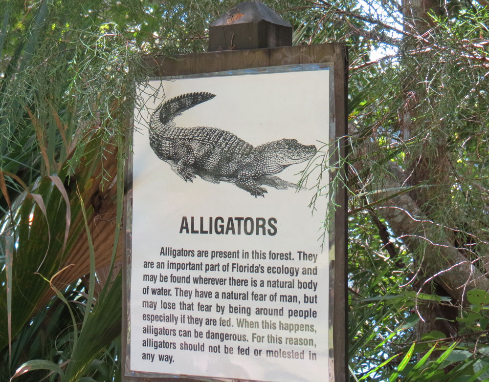 Alligator sign in Florida 