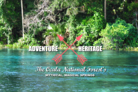 Native American Heritage in Florida Ocala