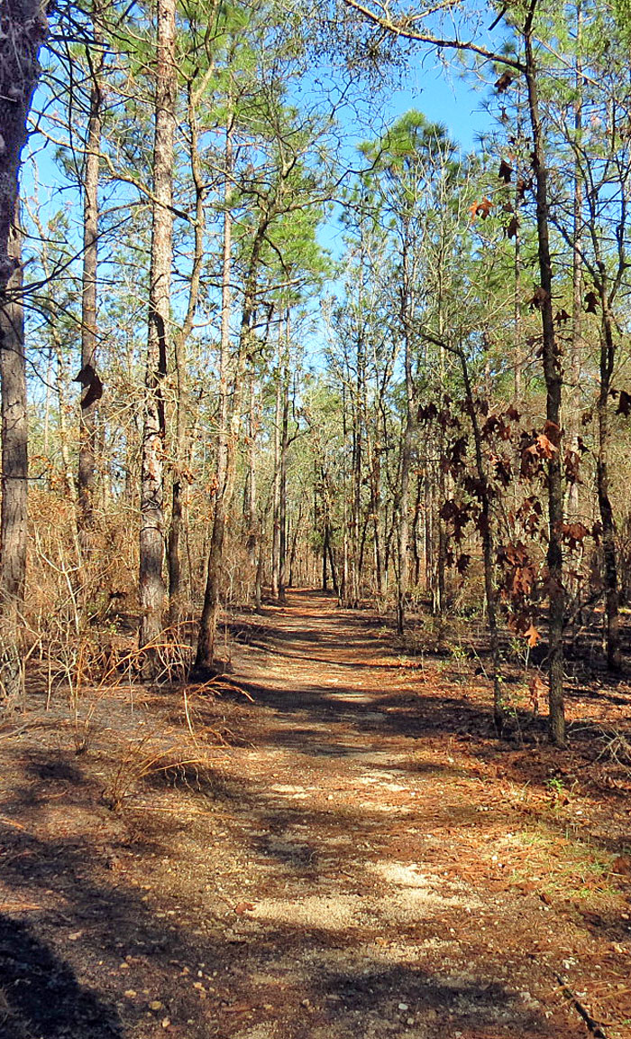 Native American Heritage, Tallahassee, Travel Guide, Apalachee, Leon Sinks Trail