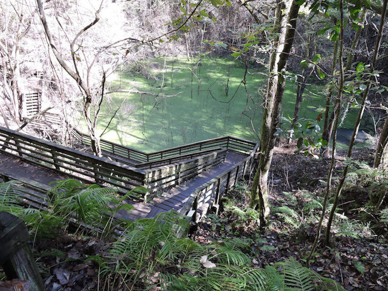 Things to Do in Florida Devil's Millhopper