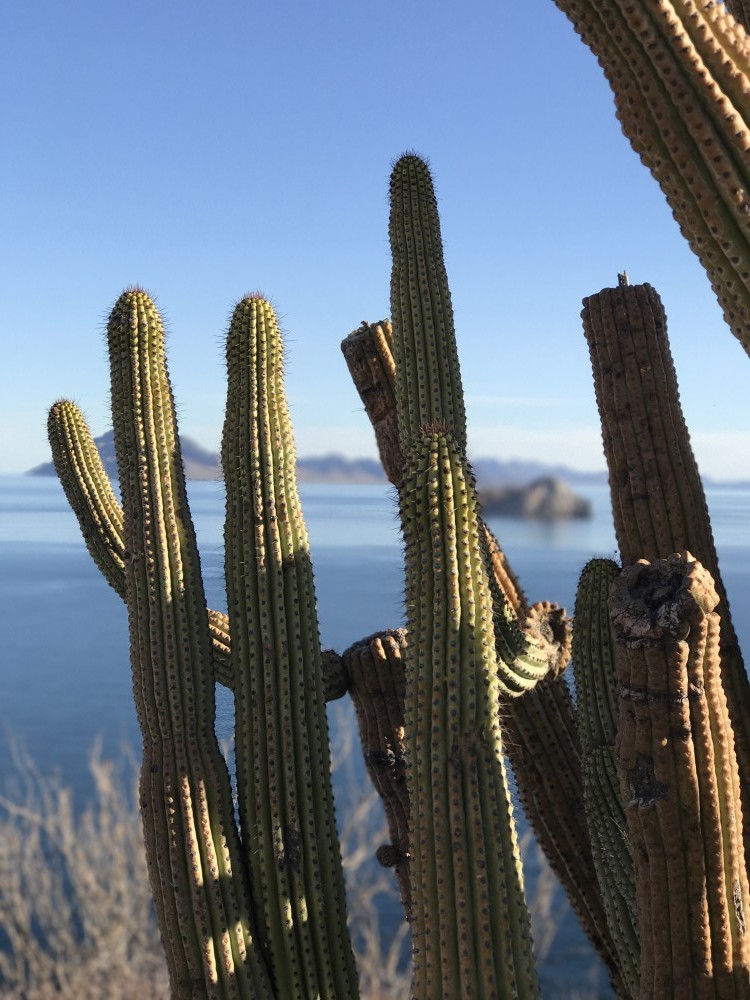 10 Amazingly Cool Things to Do in Loreto Mexico – The Baja Coast