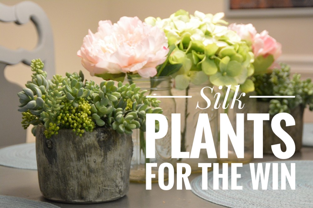 Silk Plants – The 30’s Something Traveler’s New Best Friend