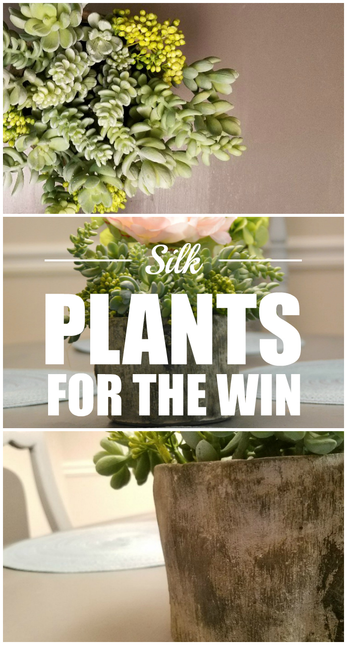 green silk plant, silk plants, silk succulent 