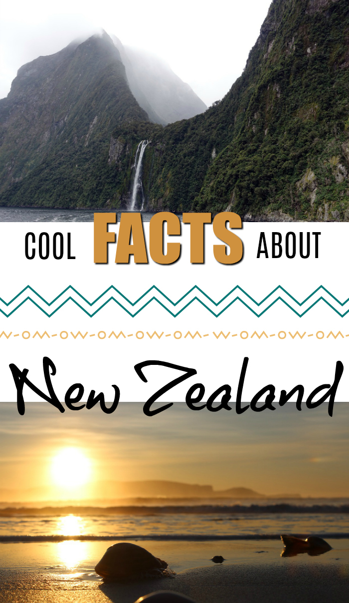 Cool facts about New Zealand - travel tips