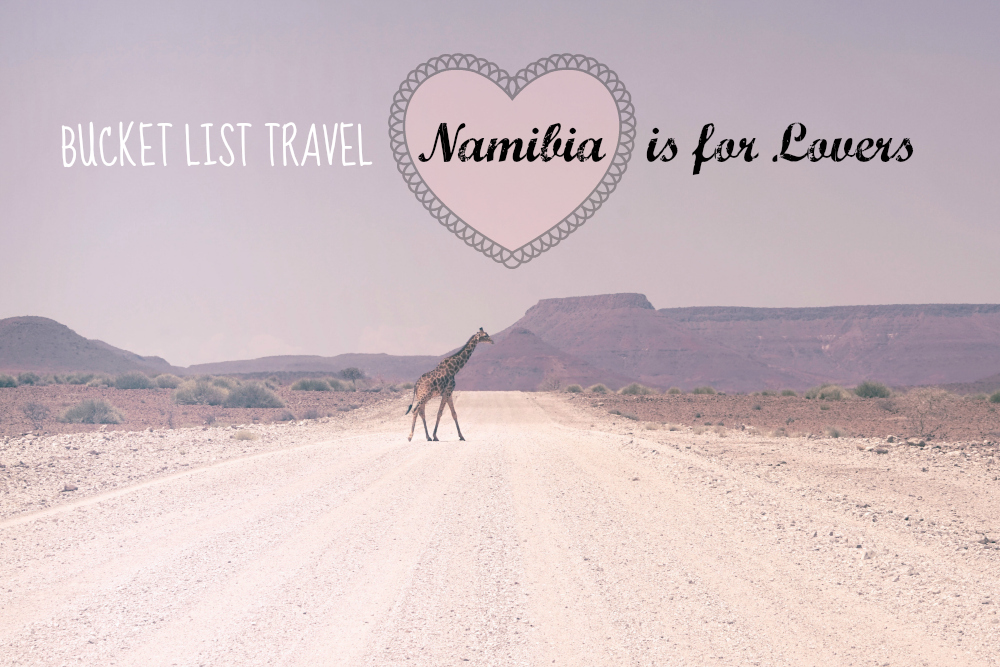 Why an African Safari in Namibia Needs to be on Your Valentine’s Day