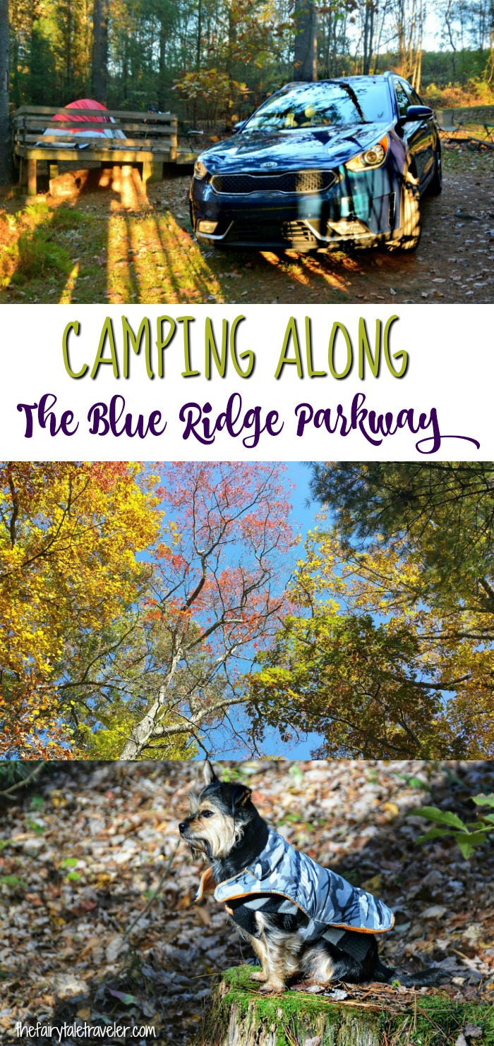 camping on the Blue Ridge Parkway Blue Ridge Mountains North Carolina travel 1