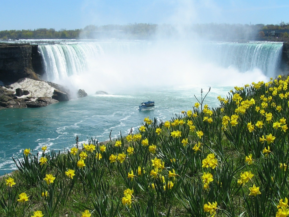 things to do in Canada, most educated countries, Niagara falls, the best waterfalls, visiting canada, magical waterfalls, Niagara Falls from Toronto