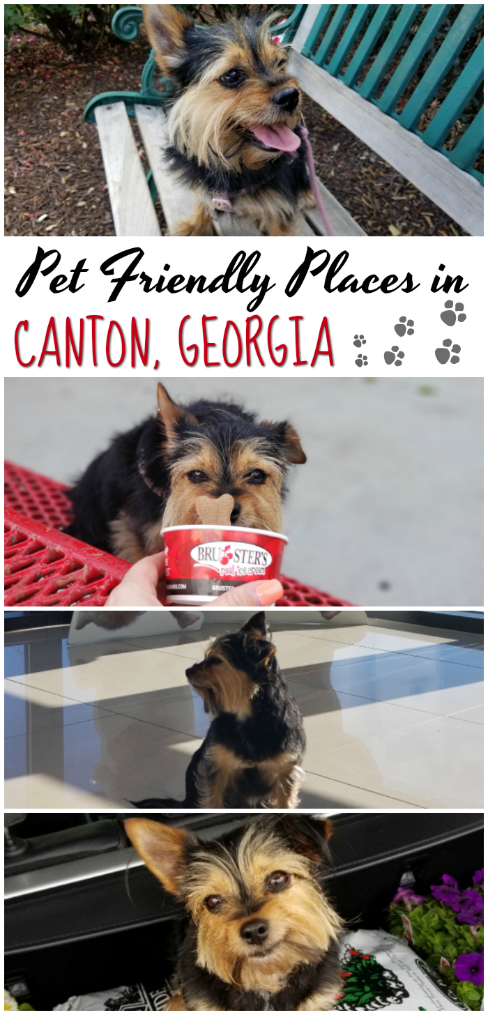 Pet Friendly Places in Canton Georgia