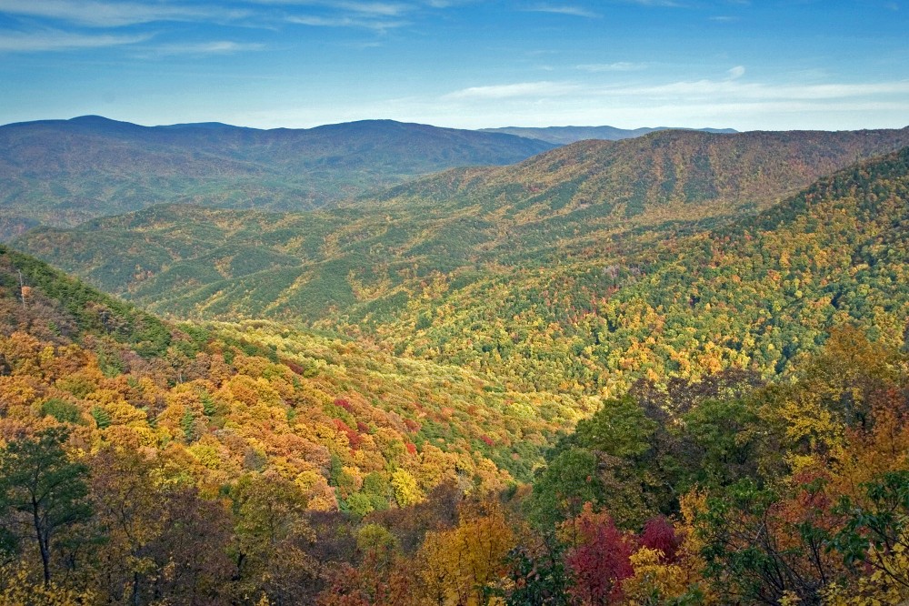 Fall in Georgia State Parks - Vogel Overlook