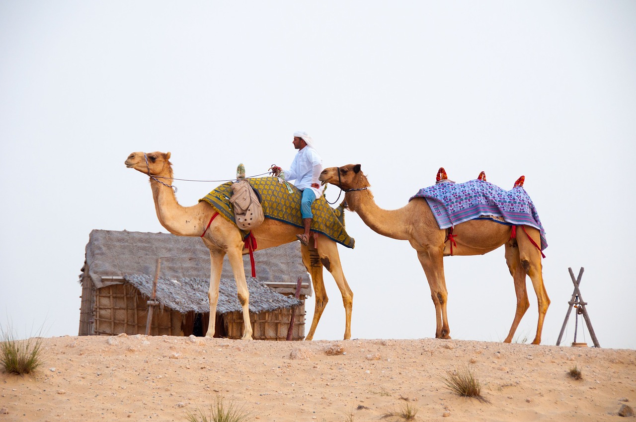 Dubai Dune Buggy, Desert Camels, dubai attractions