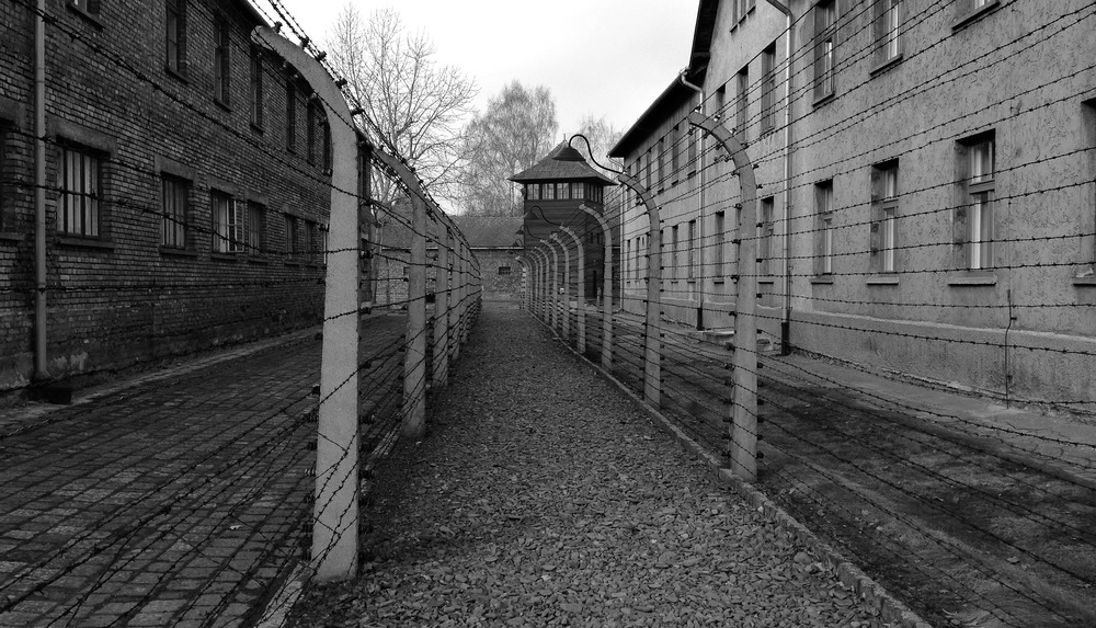 Auschwitz Memorial Museum, Auschwitz history