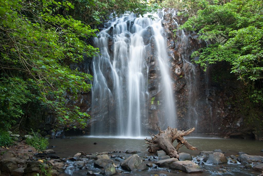 Wooroonooran National Park, magical places in Queensland