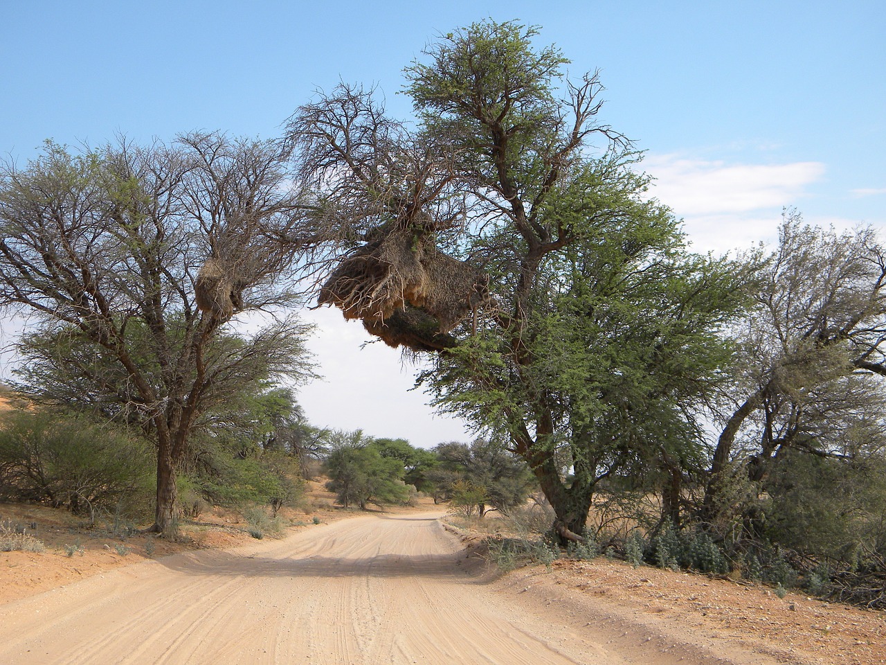 Kgalagadi Transfrontier, Parks in South Africa