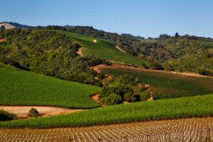things to do in California, Napa Valley
