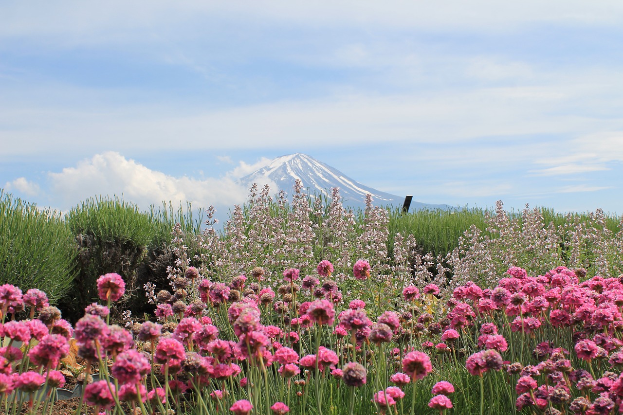 Mount Fuji, beginner Mountain Climbing