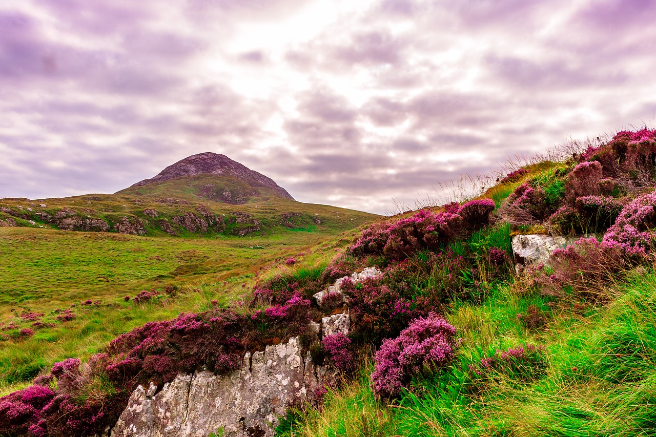 Ireland Landscape connemara
