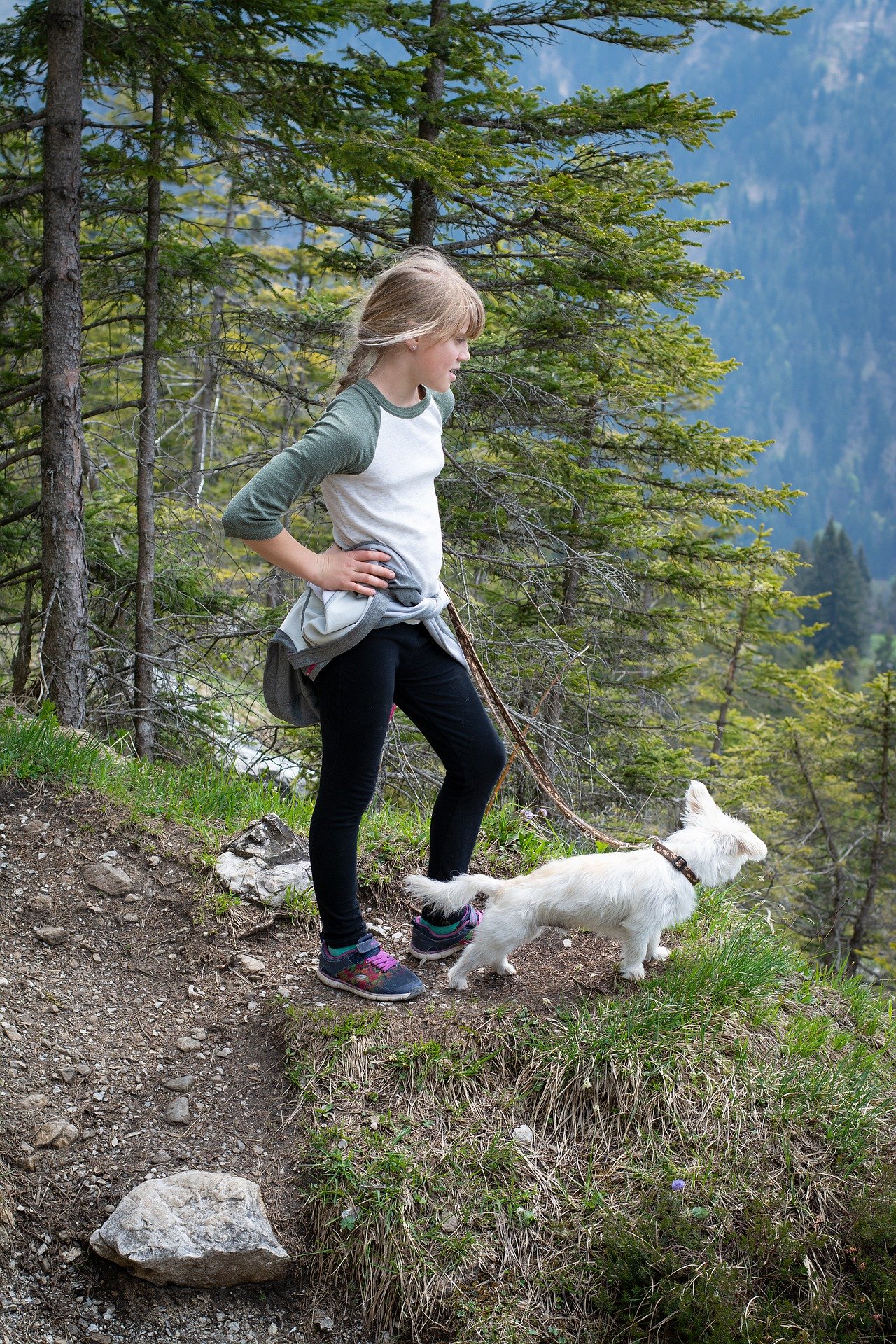 hiking with your pet