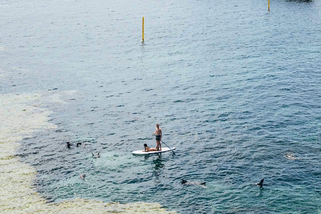 fun things to do in Adelaide, paddleboarding