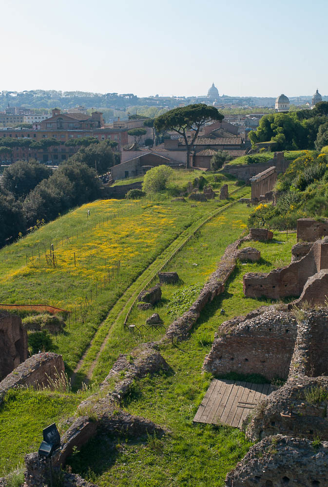 see the Colosseum and Forum from Palatine Hill in Rome, Italy