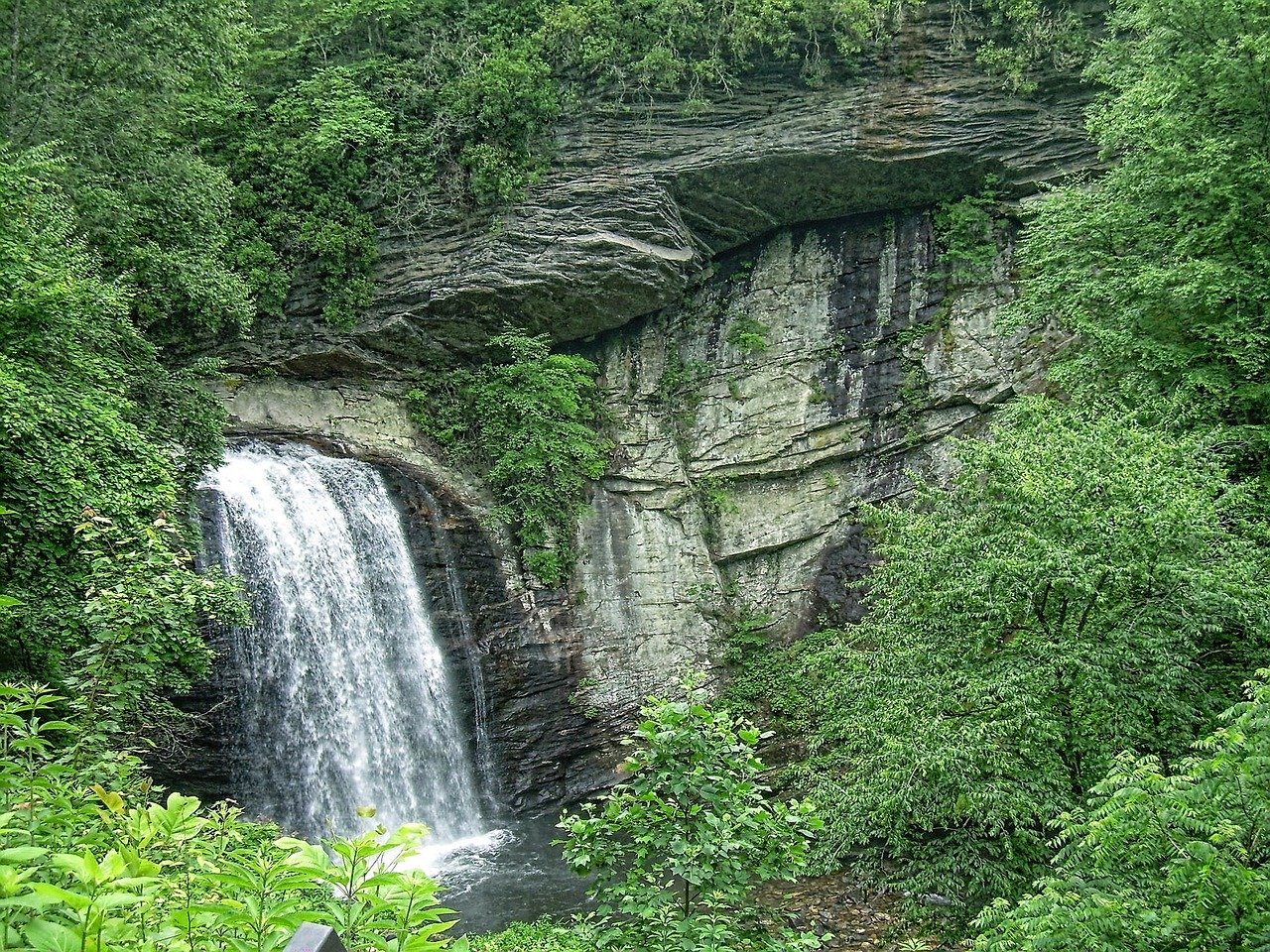 Pisgah National Forest waterfall