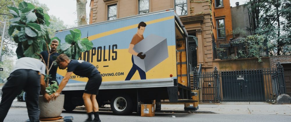 professional movers, moving company