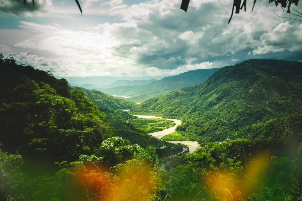Peru Rainforest