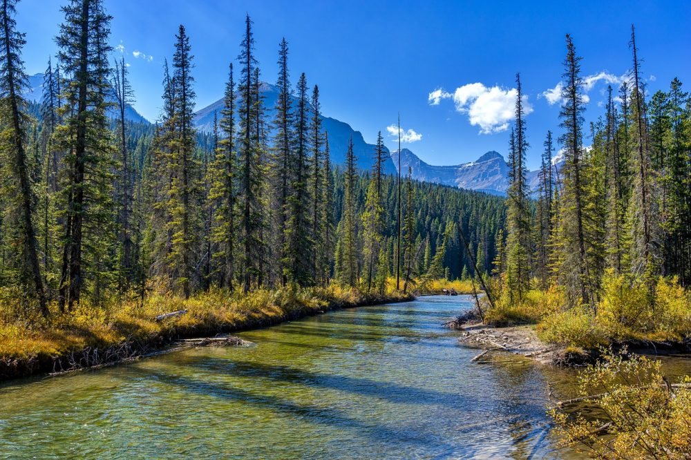 beautiful places in Canada, Jasper National Park travel in canada fall
