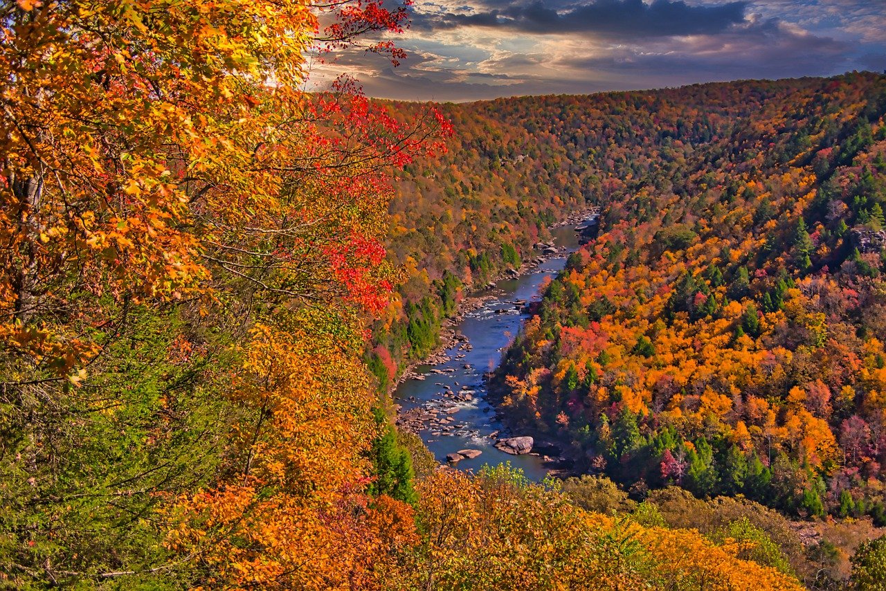 New River, West Virginia, Fall foliage