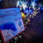 winter wonderlights