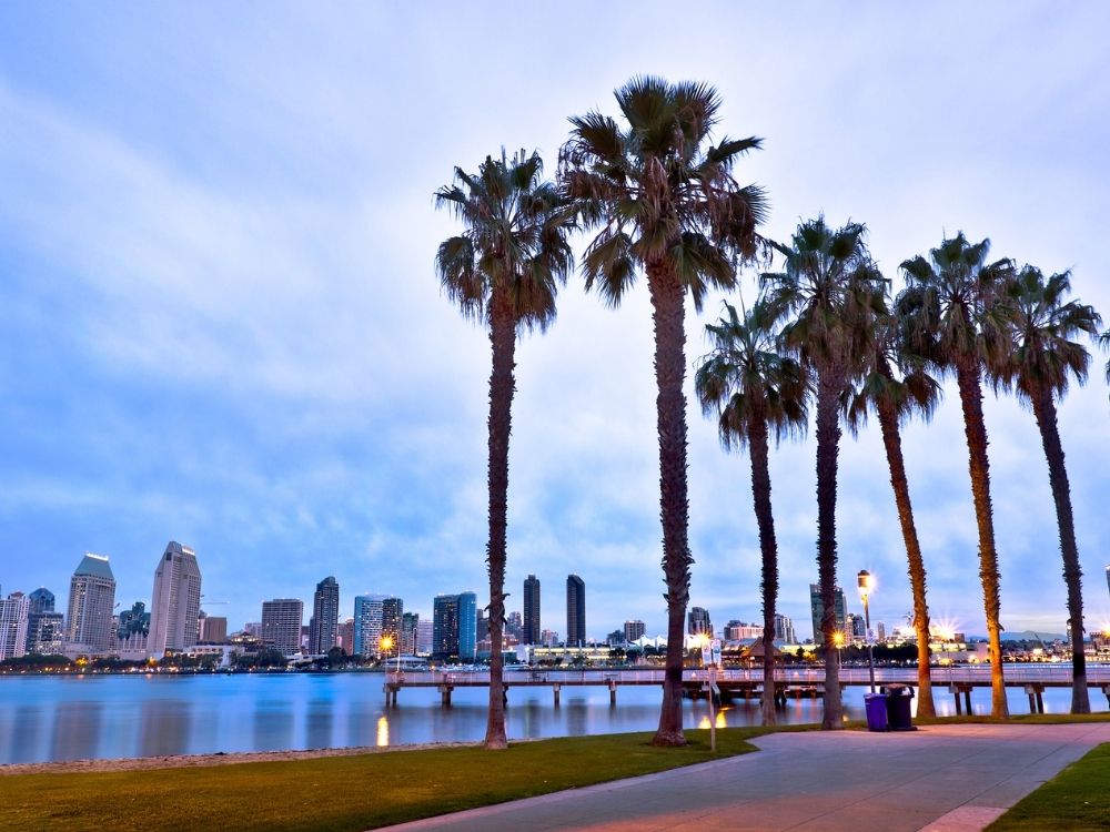 cities in southern california, san diego, california, beach, palm trees, city