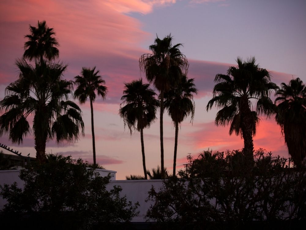 cities in southern california, sunset, palm springs, california, palm trees