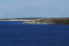 10 Things You Need To Know Before Going on a Cruise to Falkland Island