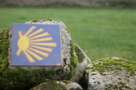 Everything You Need to Know Before Biking Camino de Santiago