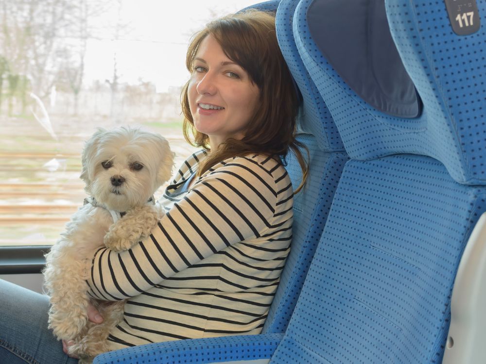 traveling with pets, train