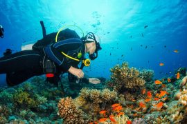 10 Top Tips for Beginner Scuba Divers