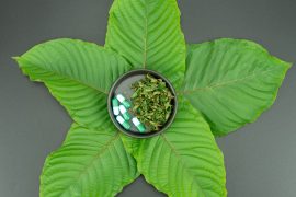 Different Color Kratom Strains And Where To Get Them