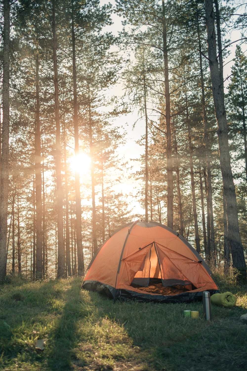 How to Prepare for a Camping Trip, Camping for Beginners, first-time camping essentials