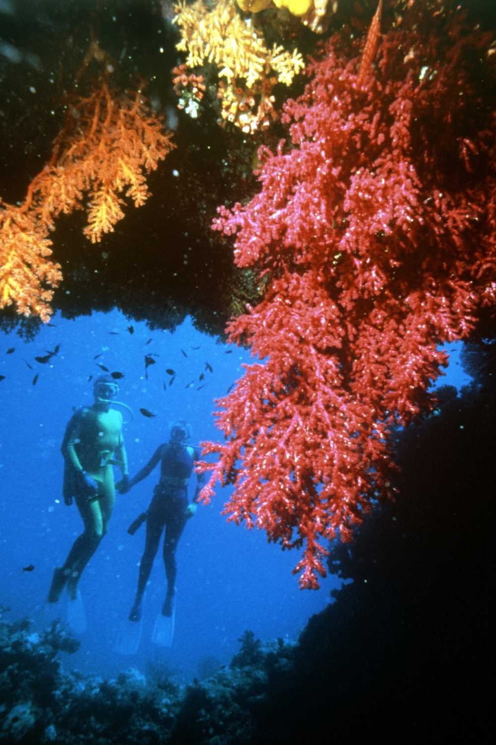 The Great Barrier Reef, unique adventure experiences, bucket list adventure travel ideas